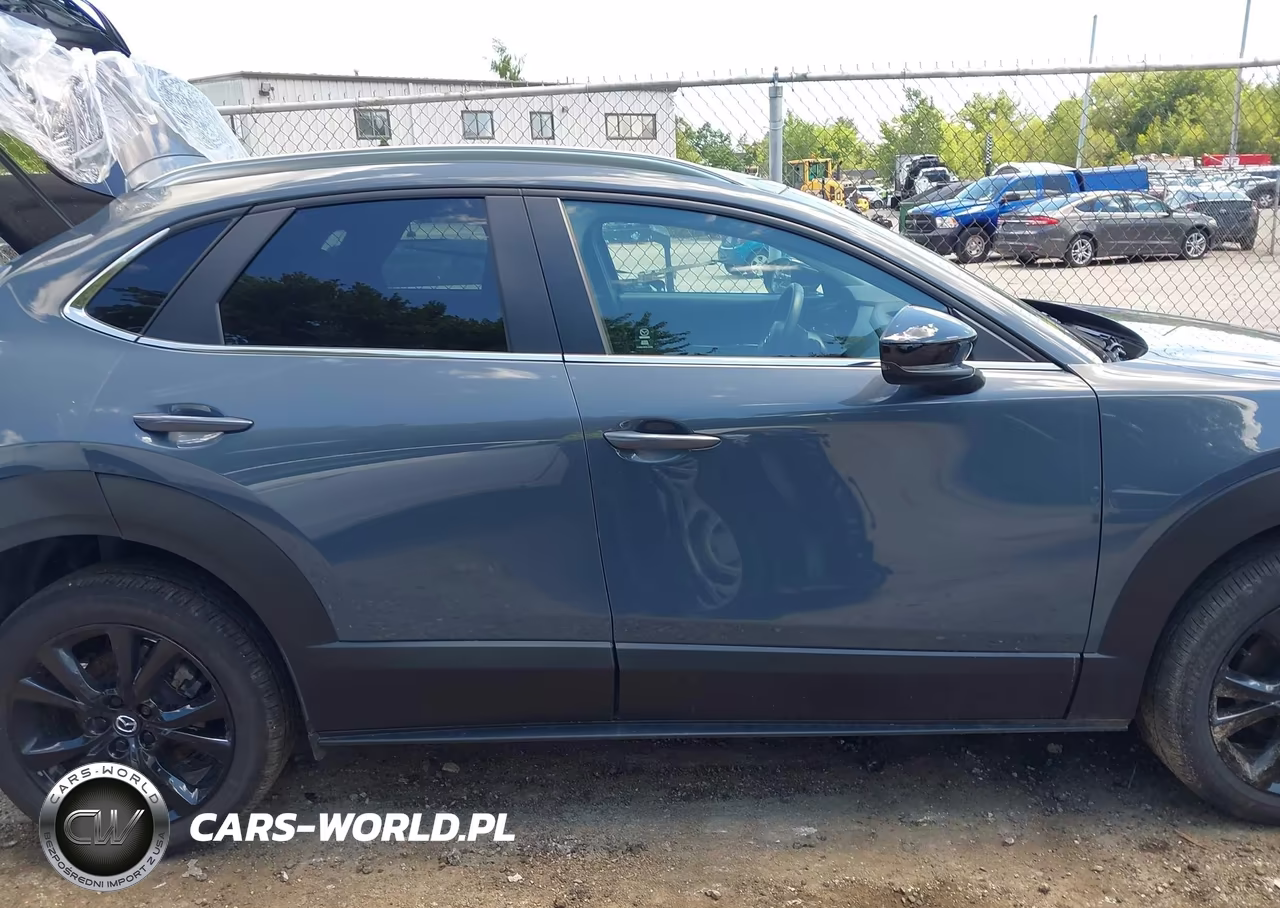 2024 Mazda Cx-30 2.5 S Carbon Edition VIN:3MVDMBCM3RM670022 - 13