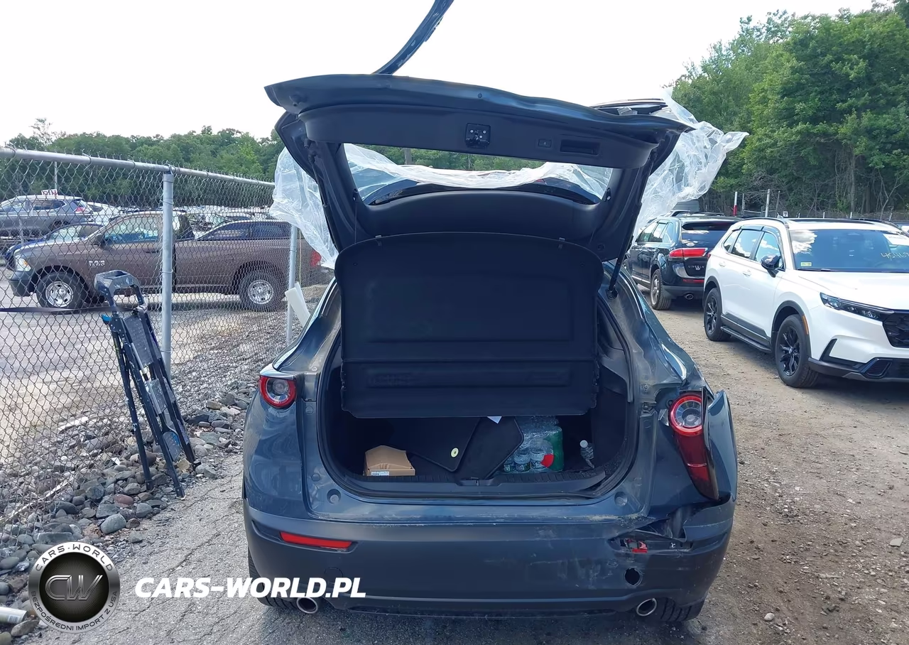 2024 Mazda Cx-30 2.5 S Carbon Edition VIN:3MVDMBCM3RM670022 - 16