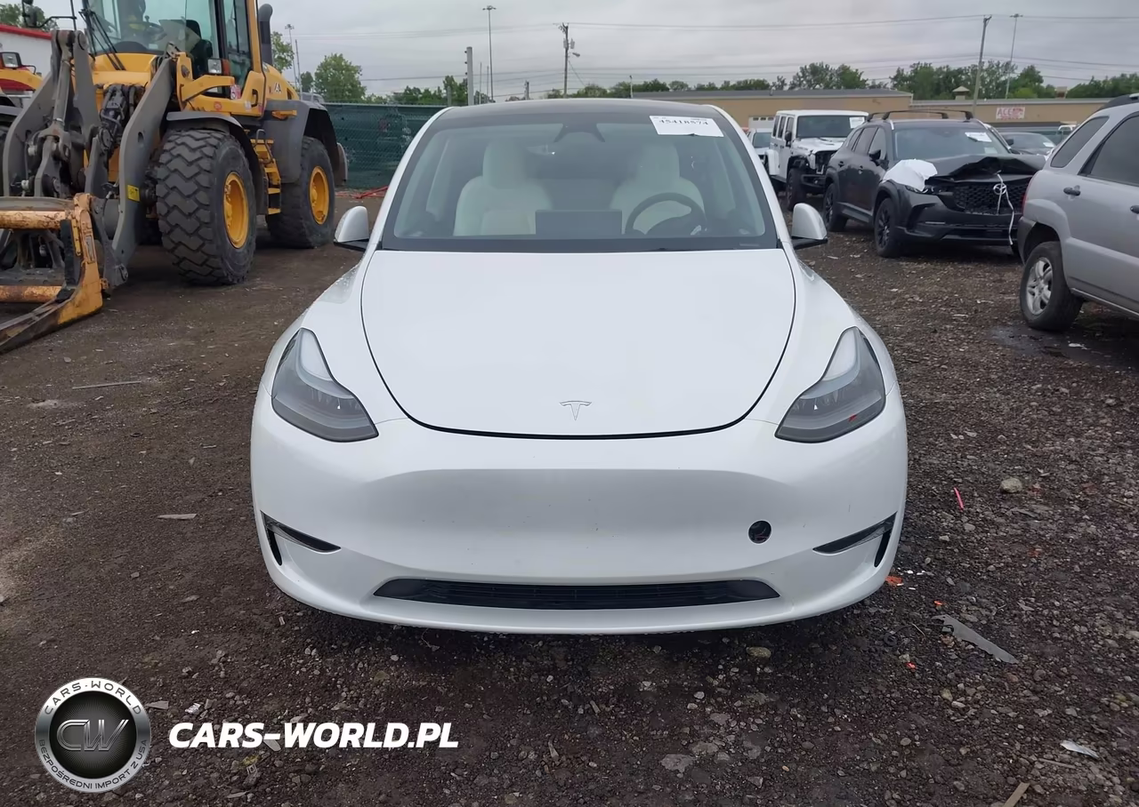 2024 Tesla Model Y Long Range Dual Motor All-Wheel Drive VIN:7SAYGDEE2RF186989 - 12