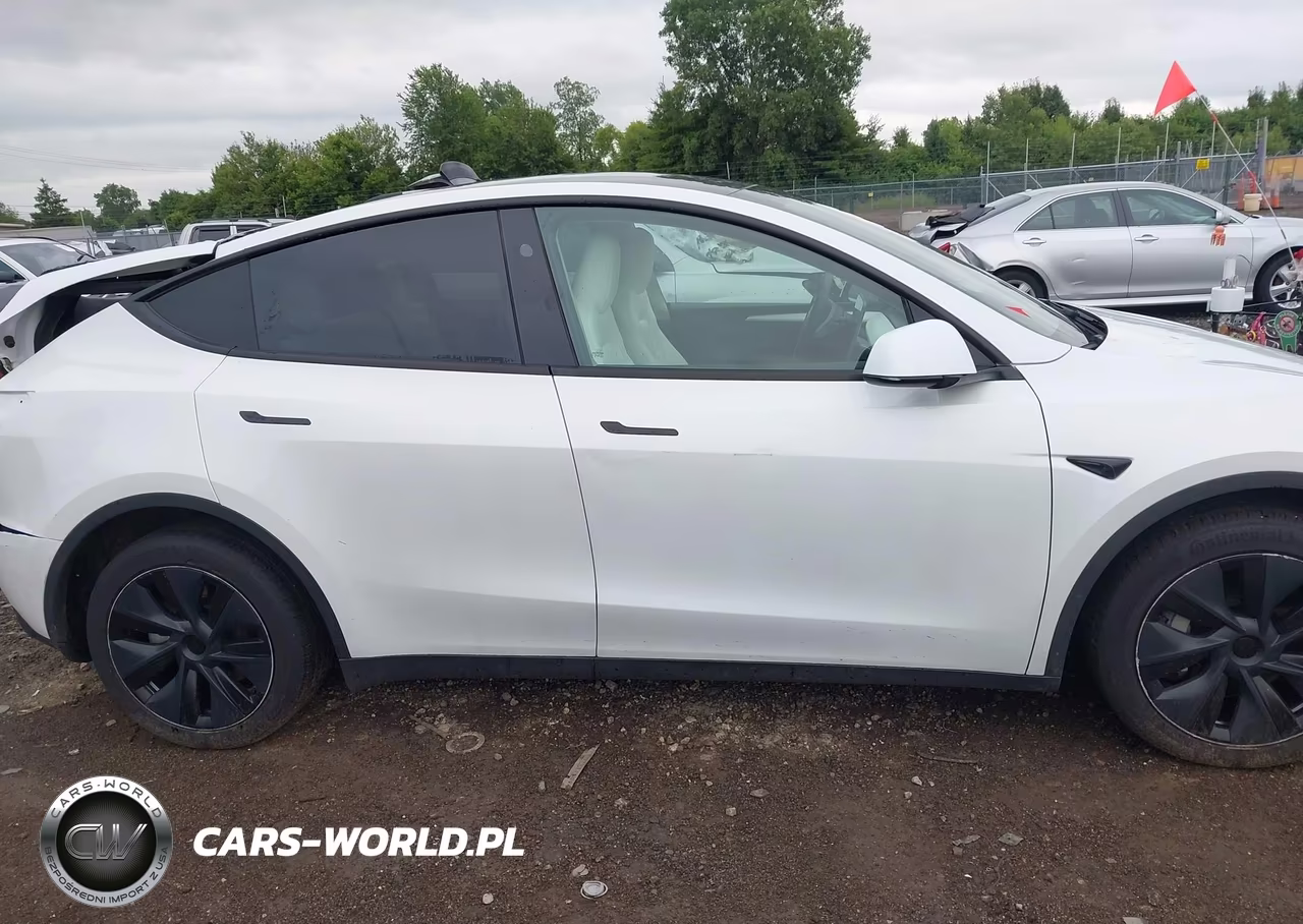 2024 Tesla Model Y Long Range Dual Motor All-Wheel Drive VIN:7SAYGDEE2RF186989 - 13