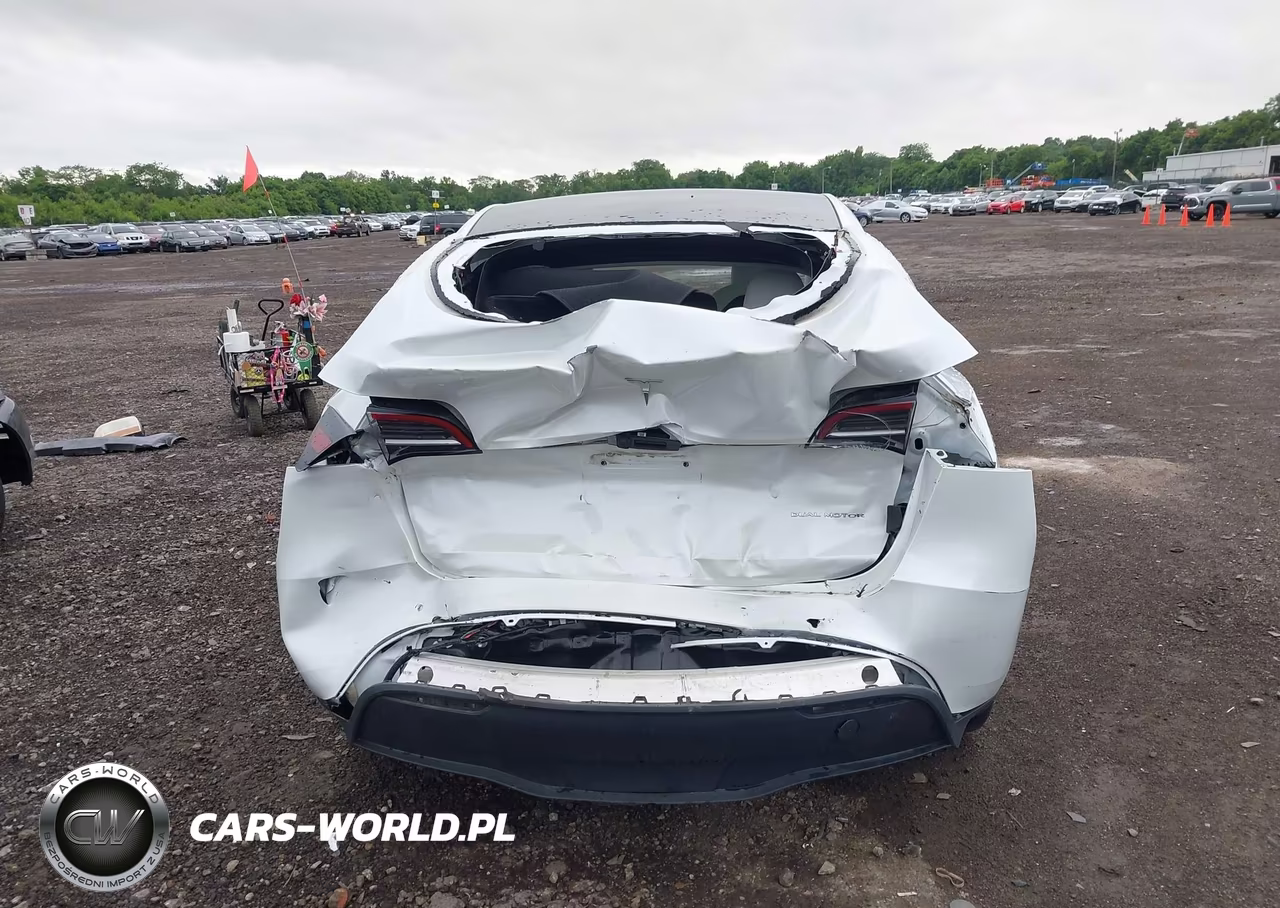 2024 Tesla Model Y Long Range Dual Motor All-Wheel Drive VIN:7SAYGDEE2RF186989 - 6