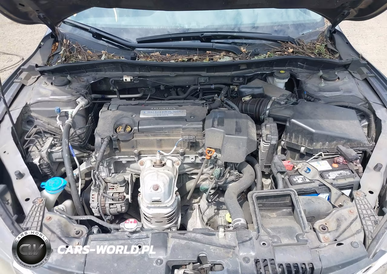 2013 Honda Accord Lx VIN:1HGCR2F35DA230148 - 10