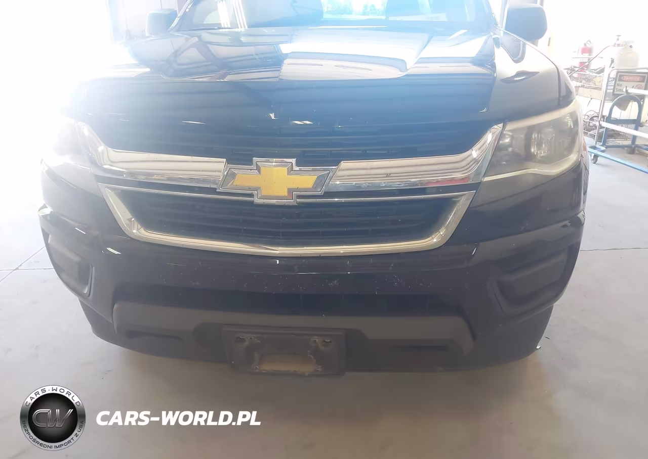 2019 Chevrolet Colorado Wt VIN:1GCGTBEN6K1112028 - 12