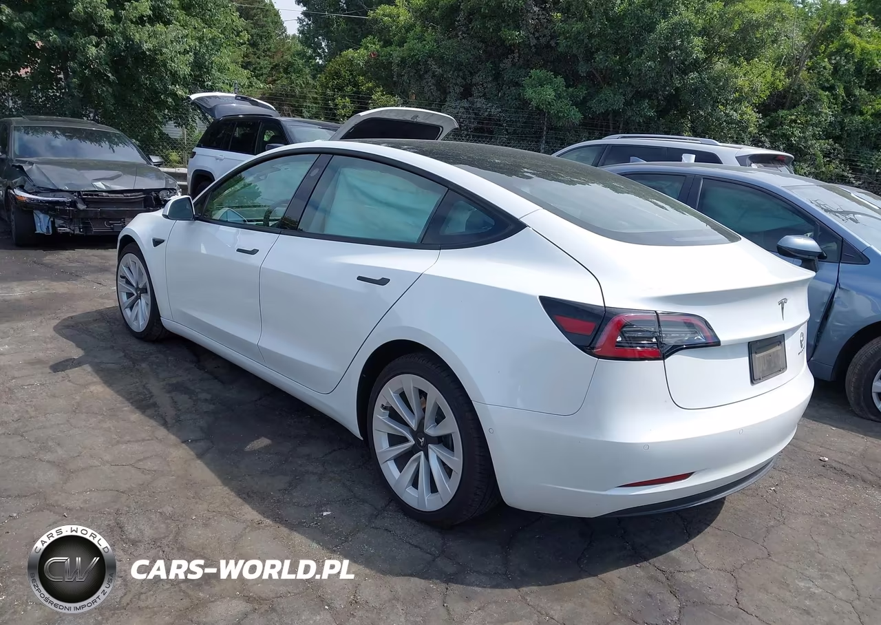 2021 Tesla Model 3 Long Range VIN:5YJ3E1EB1MF035443 - 3