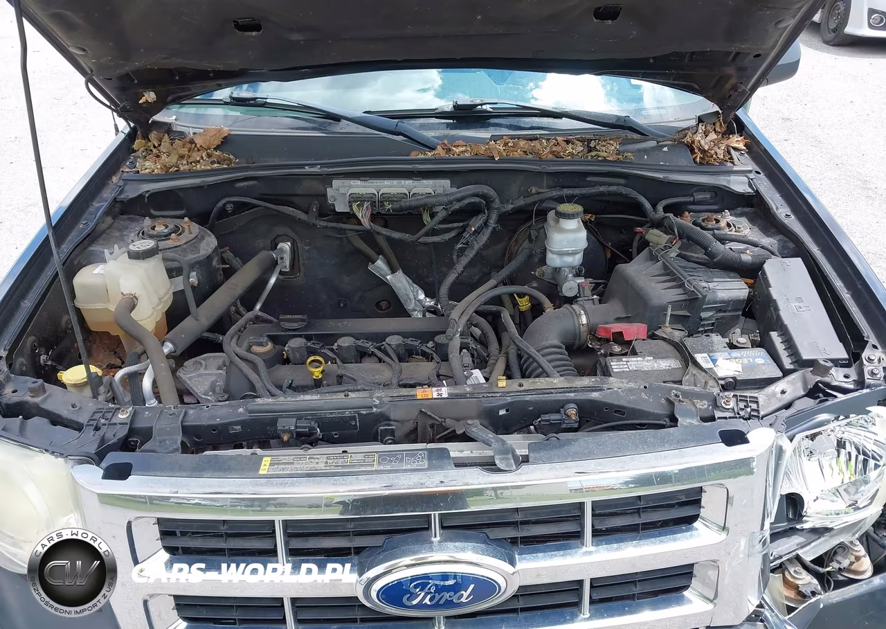 2010 Ford Escape Xlt VIN:1FMCU9D71AKC05938 - 10