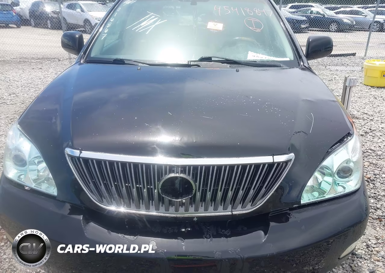 2004 Lexus Rx 330 VIN:2T2GA31U24C016867 - 10