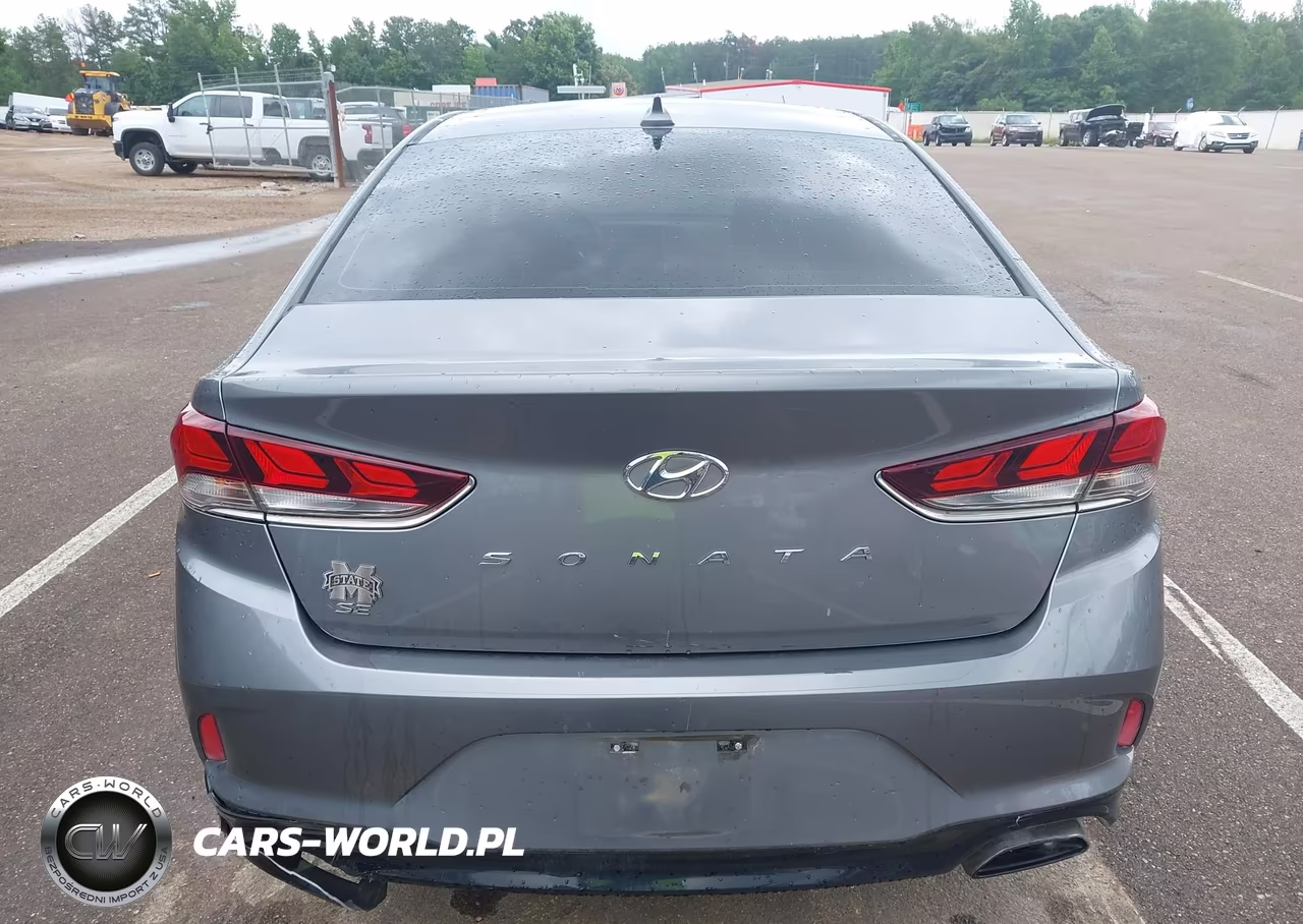 2019 Hyundai Sonata Se VIN:5NPE24AF5KH762952 - 17