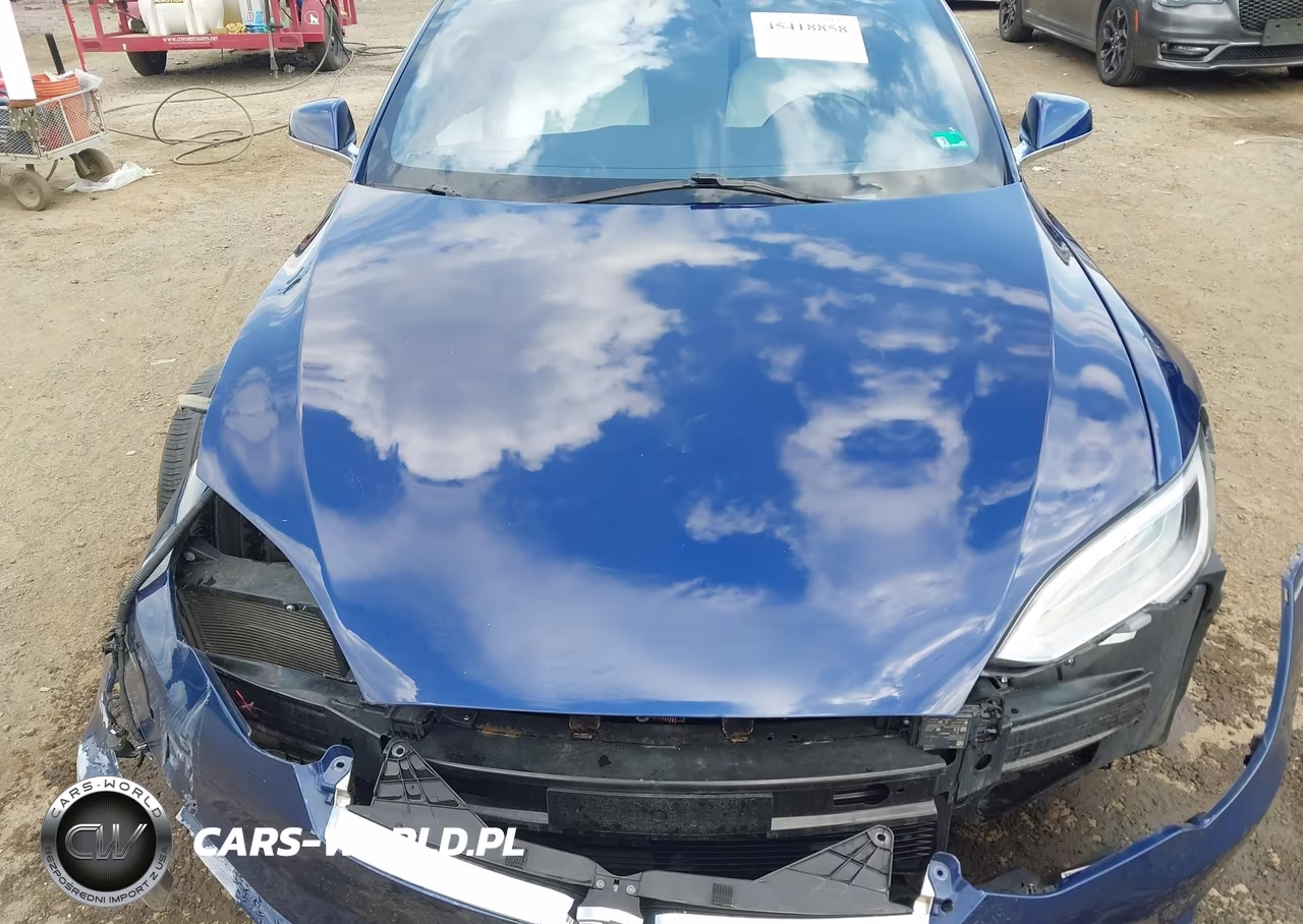 2019 Tesla Model S 100D-Long Range-P100D-Performance VIN:5YJSA1E43KF309893 - 10