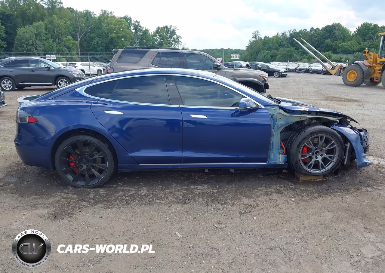 2019 Tesla Model S 100D-Long Range-P100D-Performance VIN:5YJSA1E43KF309893 - 14