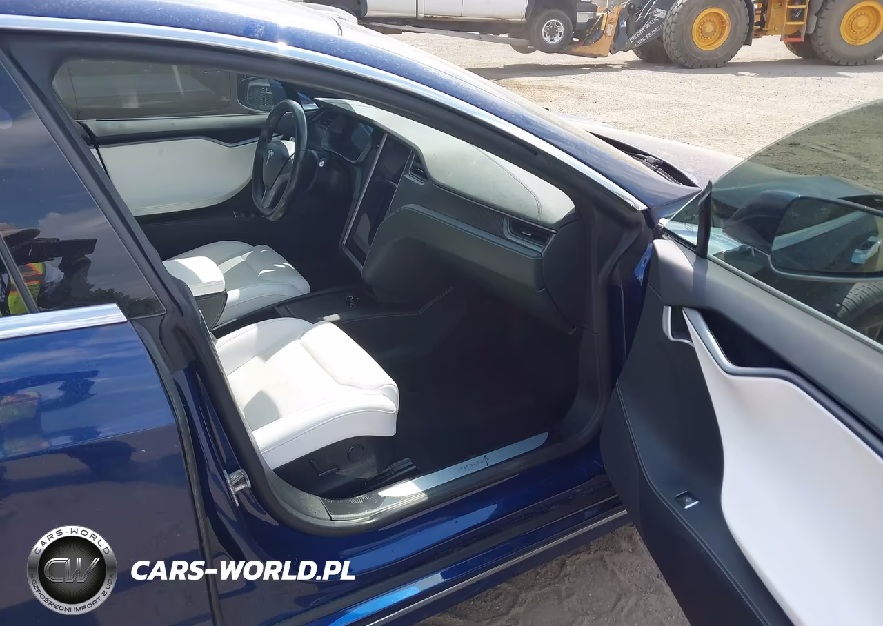 2019 Tesla Model S 100D-Long Range-P100D-Performance VIN:5YJSA1E43KF309893 - 5