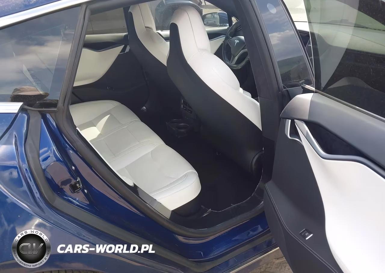 2019 Tesla Model S 100D-Long Range-P100D-Performance VIN:5YJSA1E43KF309893 - 8