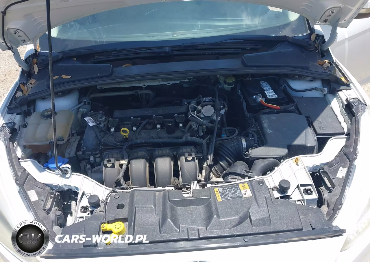 2016 Ford Focus Se VIN:1FADP3F22GL401684 - 10