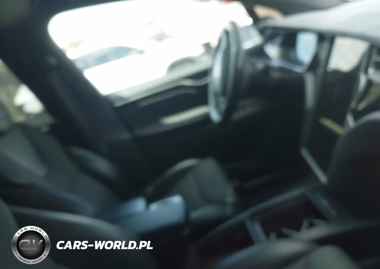 2019 Tesla Model X 100D-75D-Long Range-Standard Range VIN:5YJXCDE24KF152794 - 16