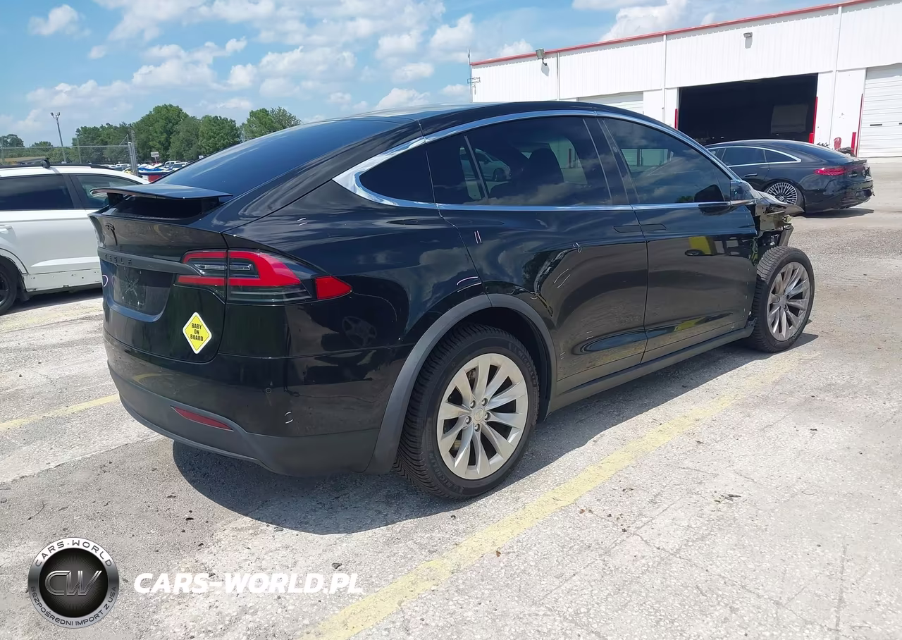2019 Tesla Model X 100D-75D-Long Range-Standard Range VIN:5YJXCDE24KF152794 - 4