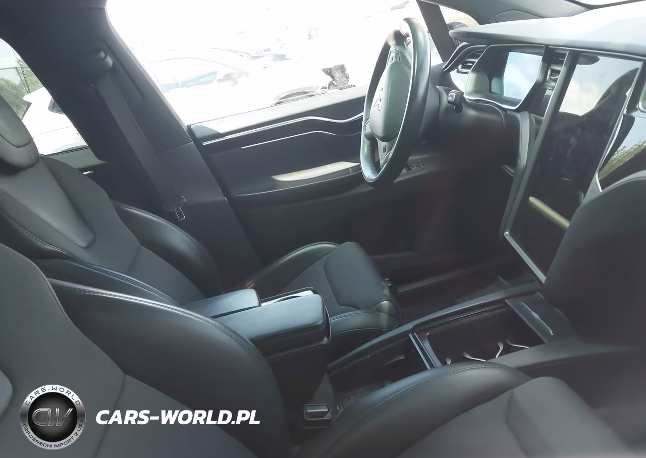 2019 Tesla Model X 100D-75D-Long Range-Standard Range VIN:5YJXCDE24KF152794 - 5