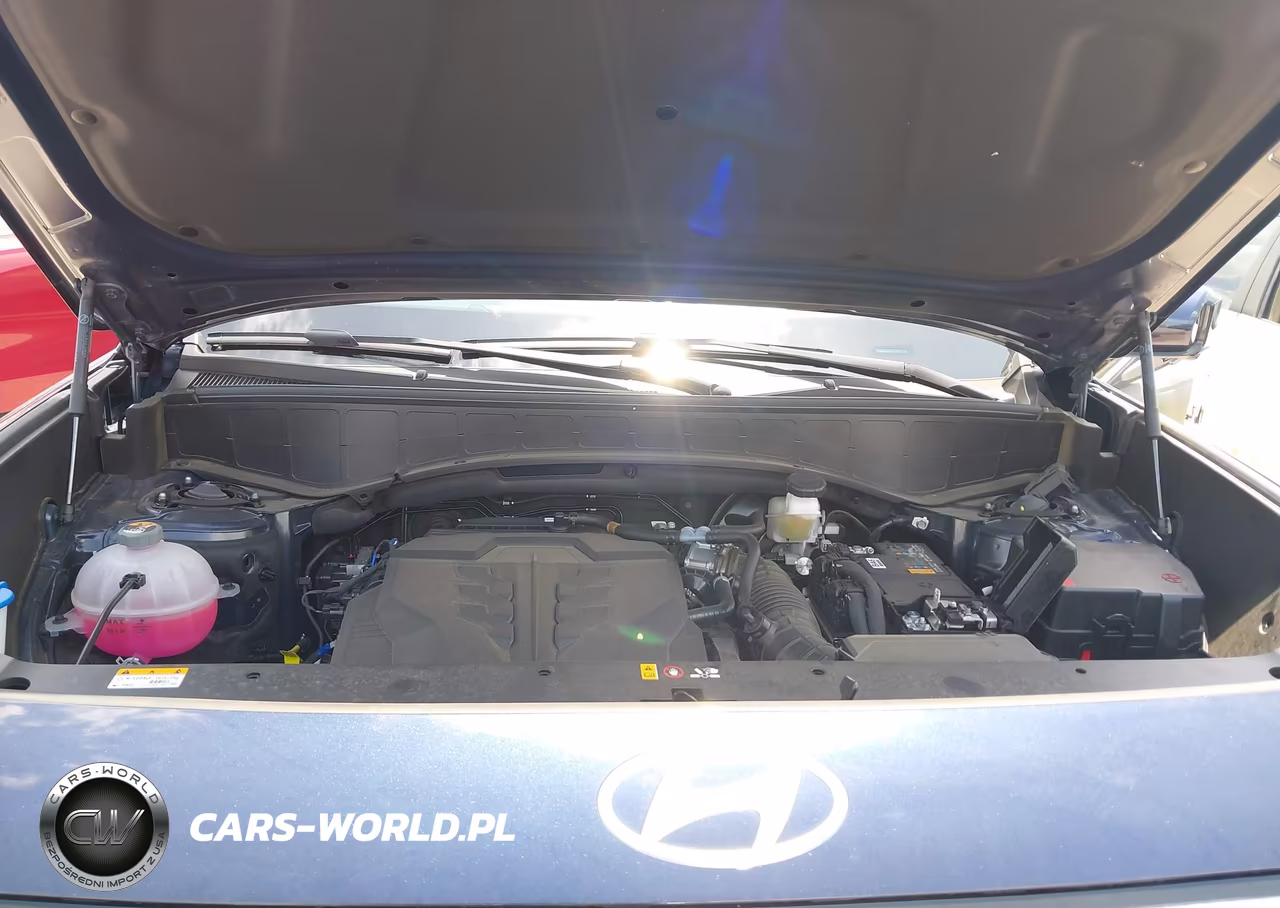2026 Hyundai Palisade Calligraphy VIN:KM8RM5S22TU018936 - 10