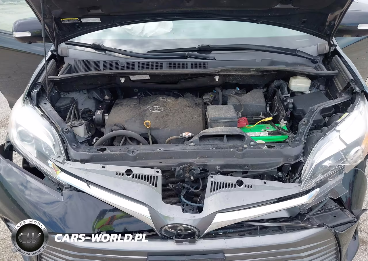 2019 Toyota Sienna Limited Premium 7 Passenger VIN:5TDDZ3DC6KS221194 - 10