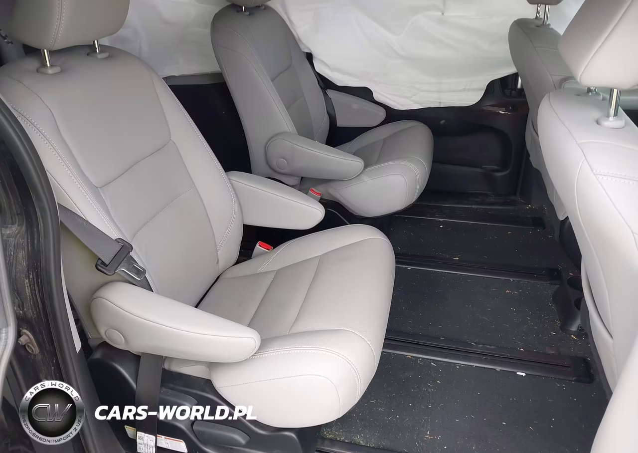 2019 Toyota Sienna Limited Premium 7 Passenger VIN:5TDDZ3DC6KS221194 - 8