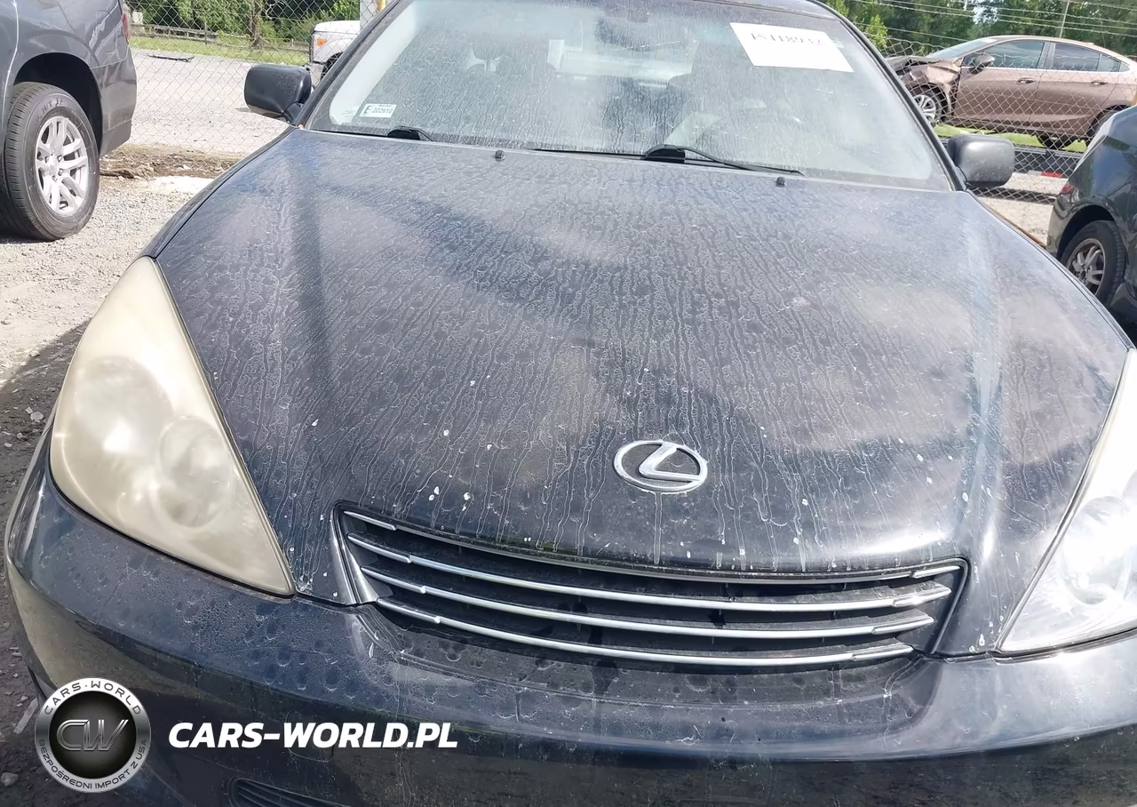 2004 Lexus Es 330 VIN:JTHBA30G445046605 - 6