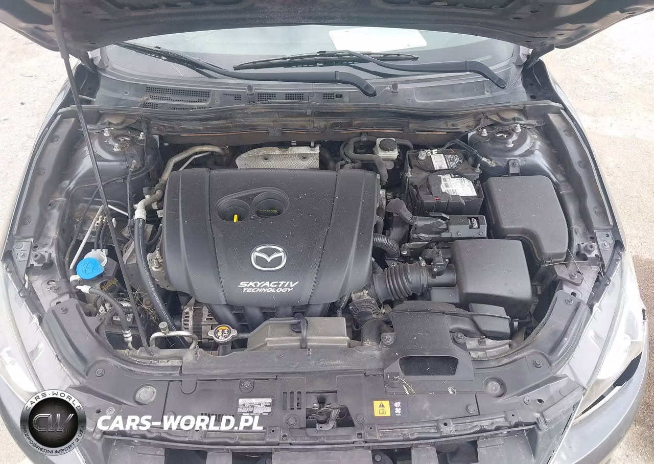 2016 Mazda Mazda3 I Sport VIN:JM1BM1U78G1316115 - 10