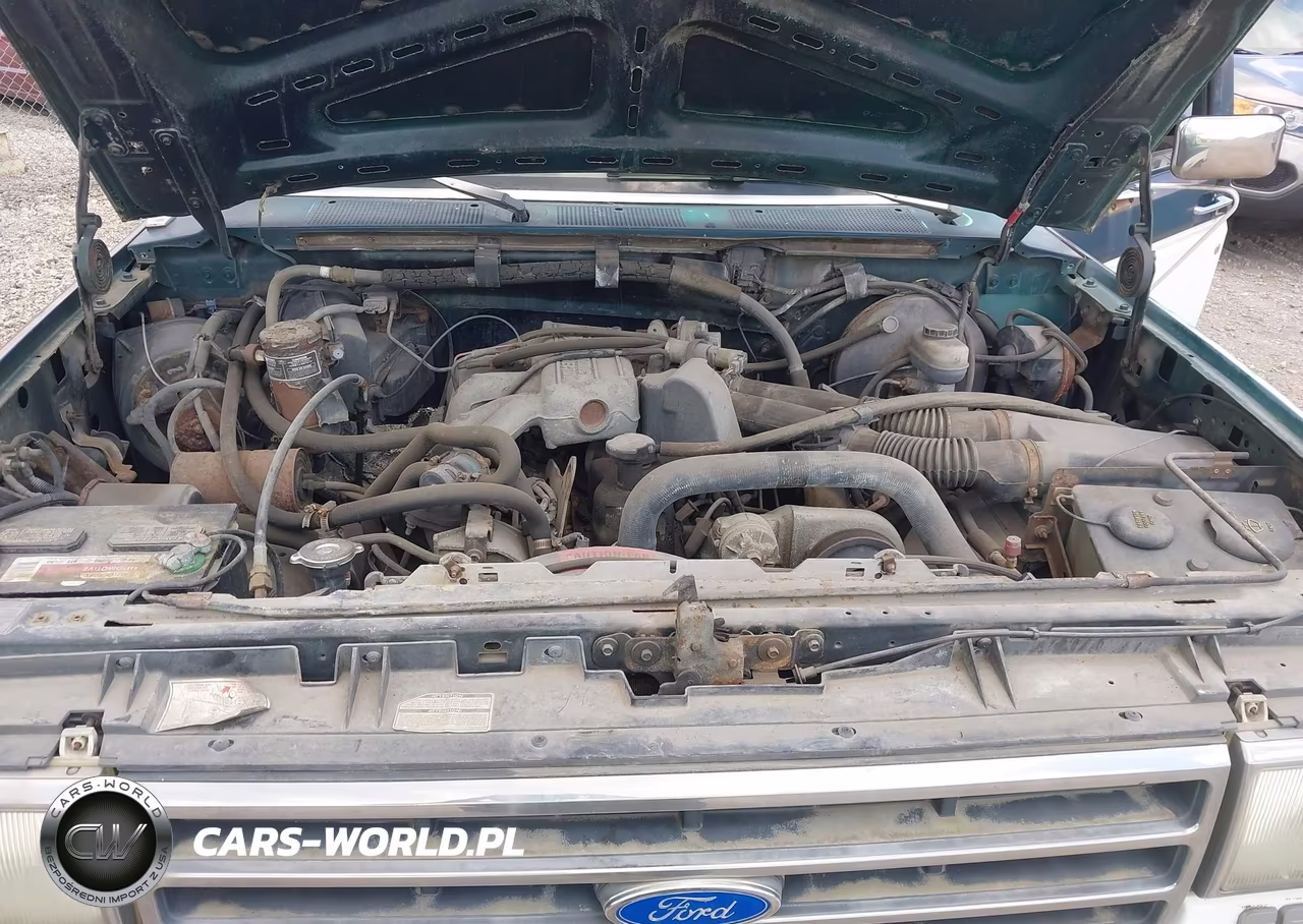 1991 Ford F150 VIN:1FTDF15Y0MNA83944 - 10