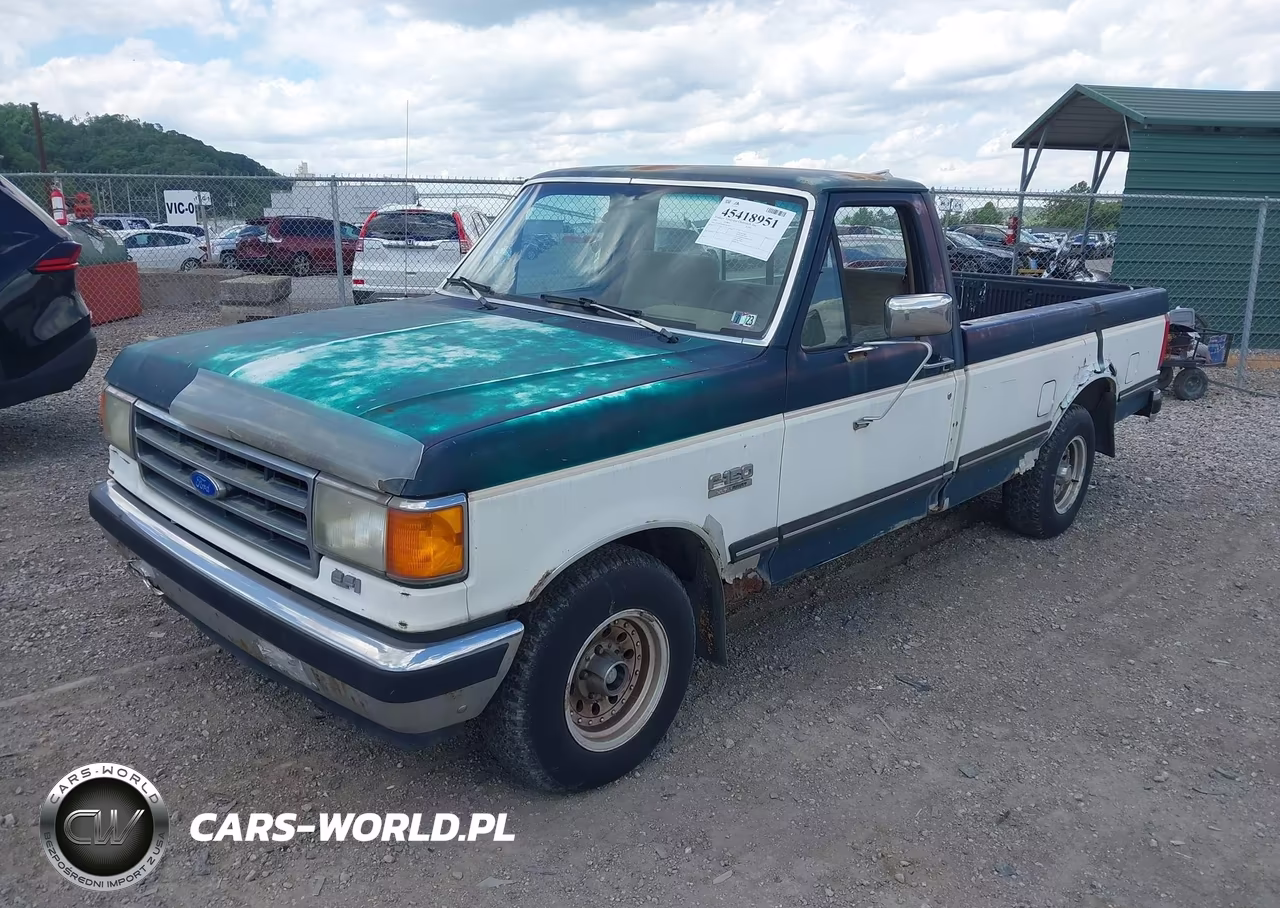 1991 Ford F150 VIN:1FTDF15Y0MNA83944 - 2