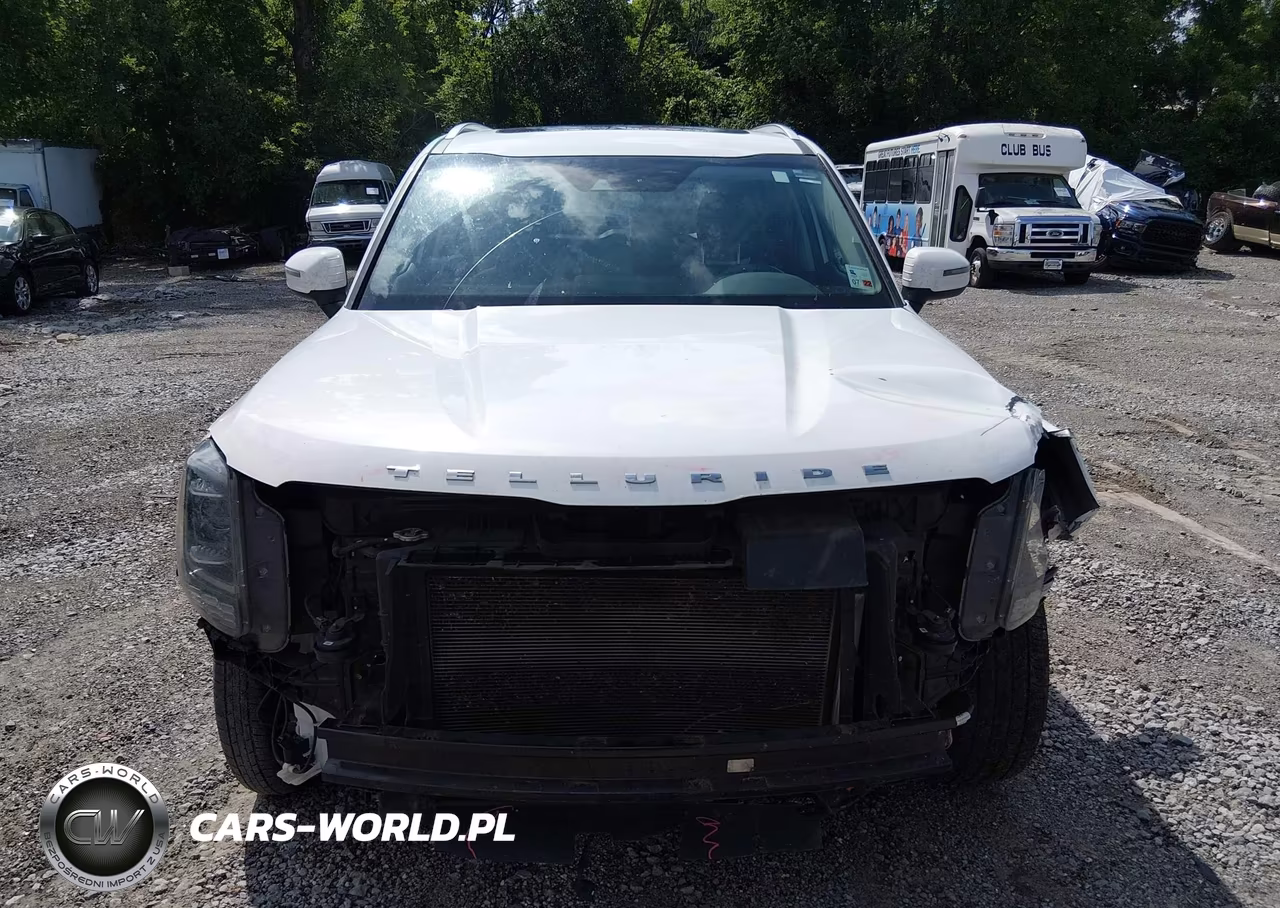 2020 Kia Telluride Ex VIN:5XYP34HC7LG086367 - 13