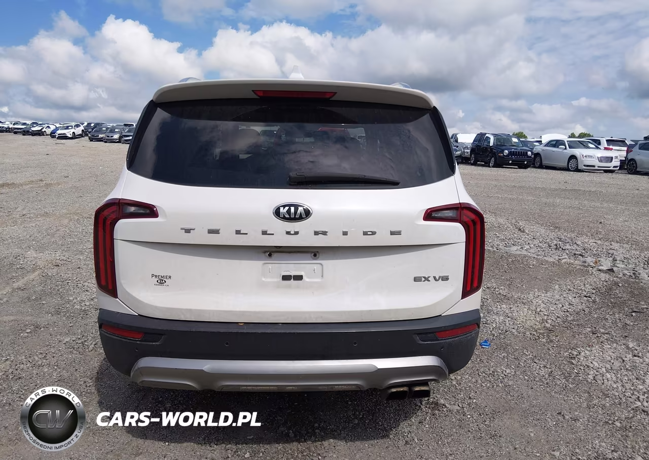 2020 Kia Telluride Ex VIN:5XYP34HC7LG086367 - 17