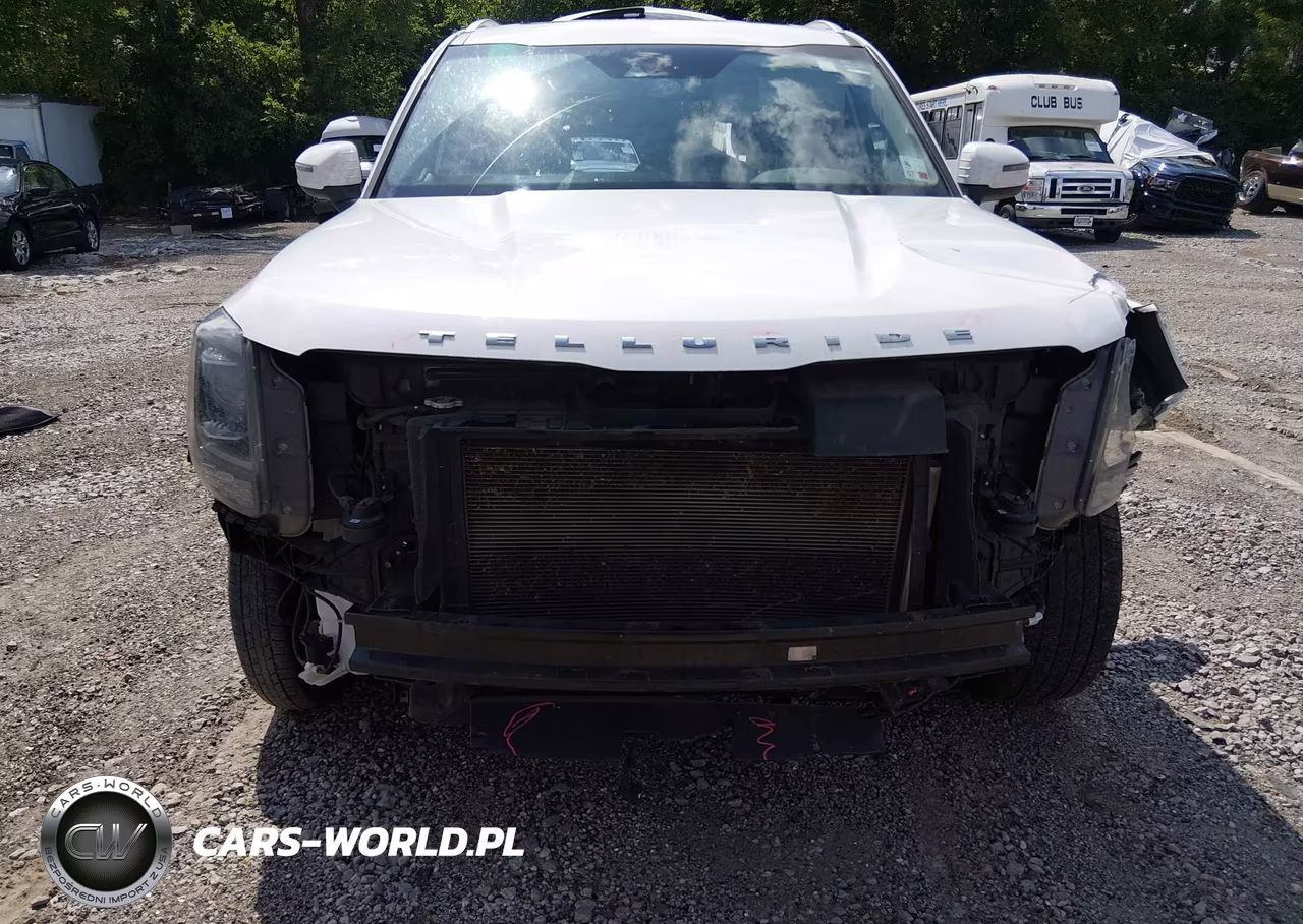 2020 Kia Telluride Ex VIN:5XYP34HC7LG086367 - 6