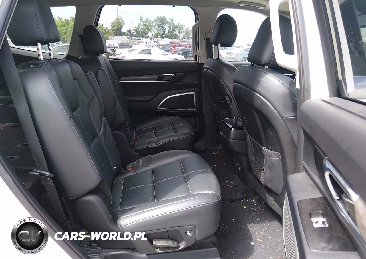 2020 Kia Telluride Ex VIN:5XYP34HC7LG086367 - 8