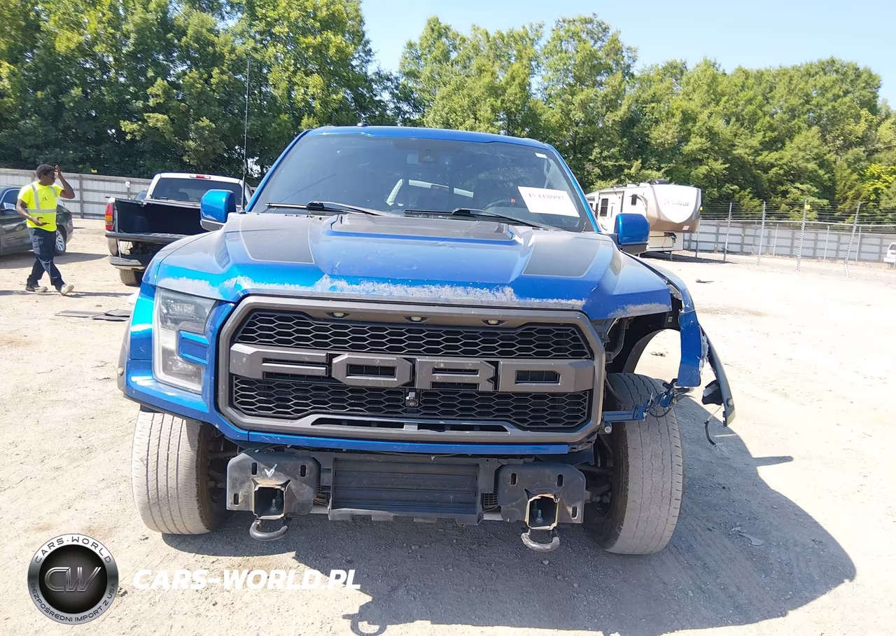 2018 Ford F-150 Raptor VIN:1FTFW1RG1JFC39148 - 13