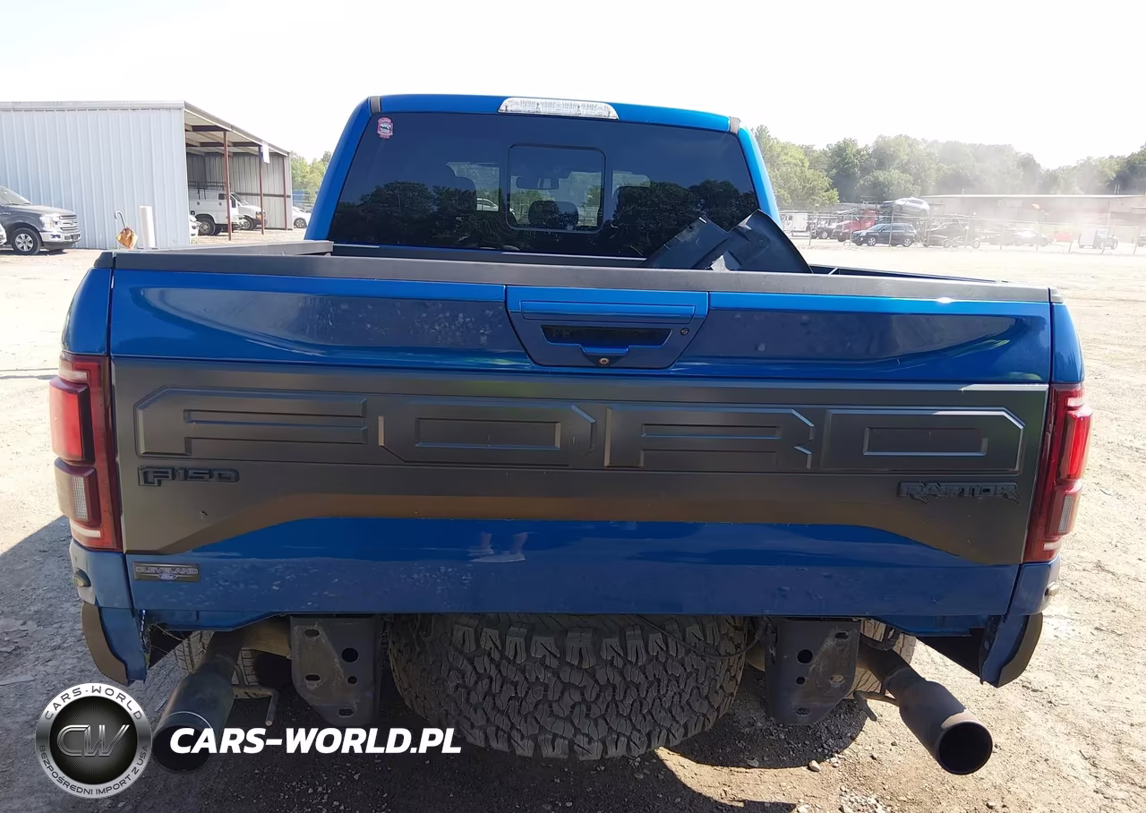 2018 Ford F-150 Raptor VIN:1FTFW1RG1JFC39148 - 17