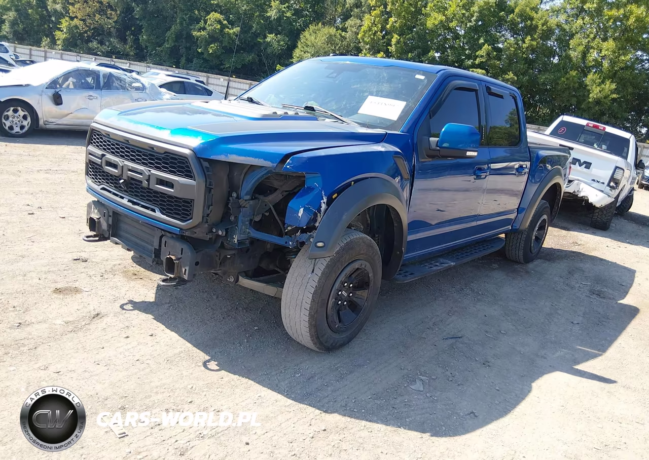 2018 Ford F-150 Raptor VIN:1FTFW1RG1JFC39148 - 2