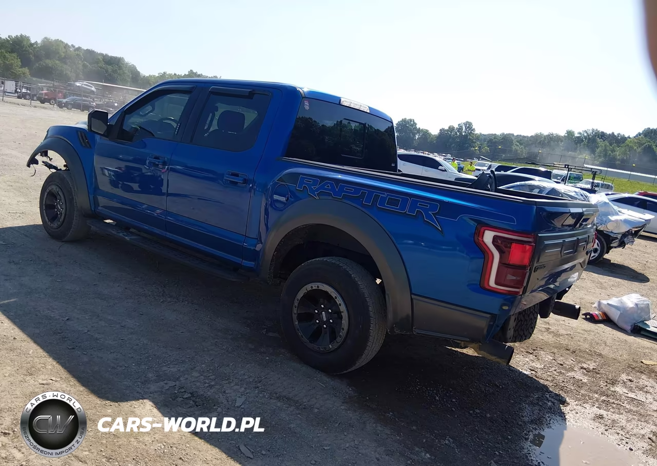 2018 Ford F-150 Raptor VIN:1FTFW1RG1JFC39148 - 3