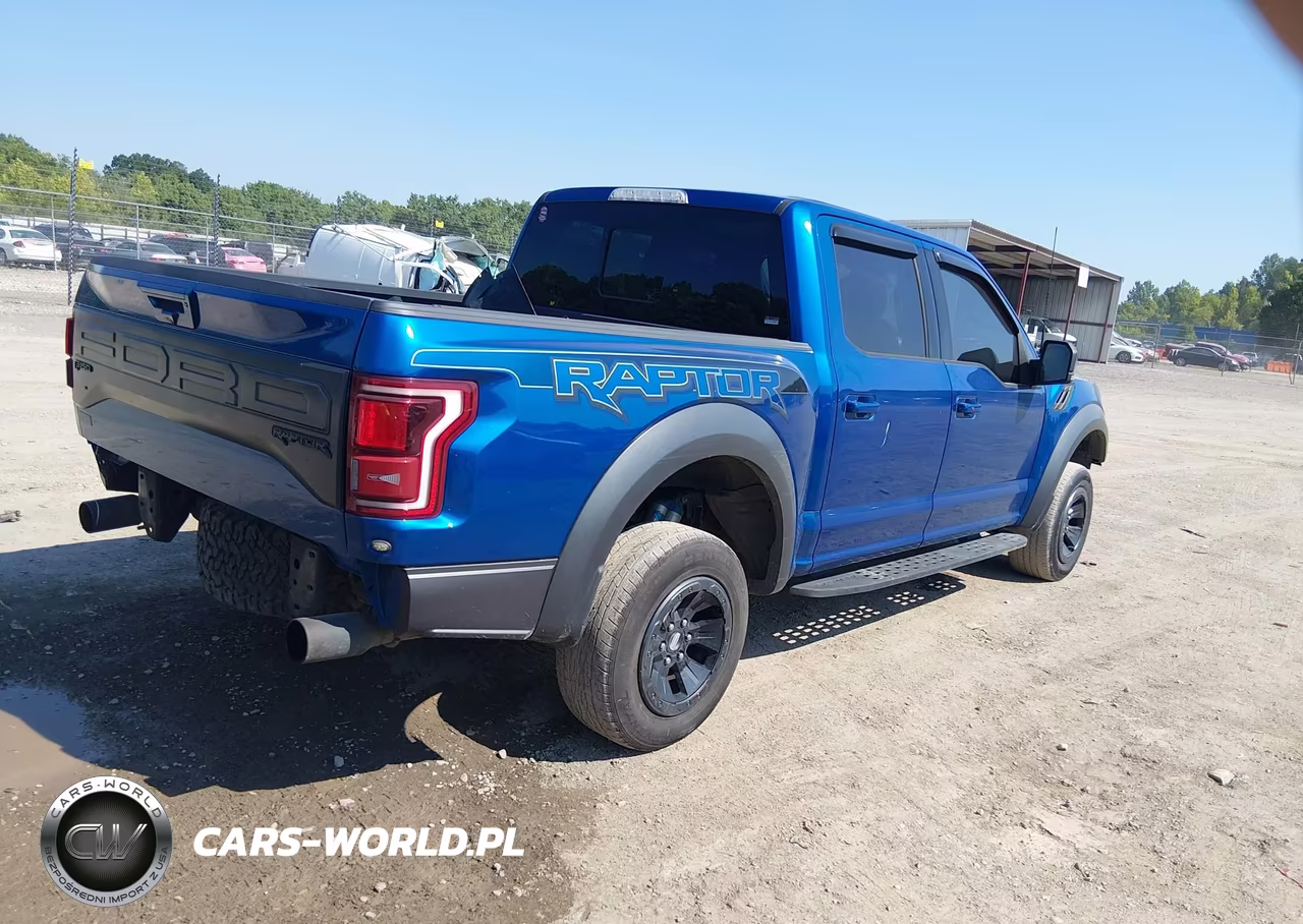 2018 Ford F-150 Raptor VIN:1FTFW1RG1JFC39148 - 4