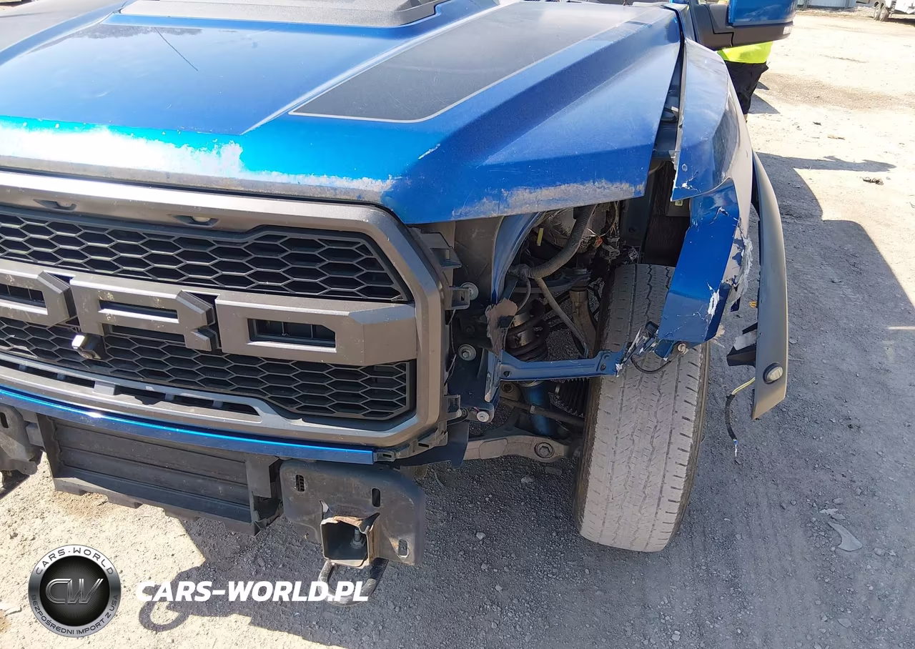 2018 Ford F-150 Raptor VIN:1FTFW1RG1JFC39148 - 6
