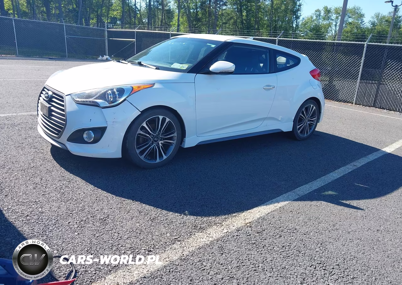 2016 Hyundai Veloster Turbo VIN:KMHTC6AEXGU296001 - 2