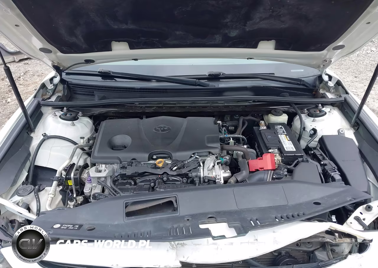 2018 Toyota Camry Se VIN:4T1B11HK8JU668328 - 10