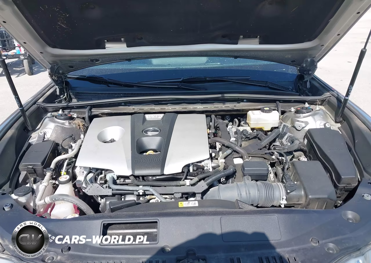 2021 Lexus Es 300H VIN:58ADA1C15MU010082 - 10