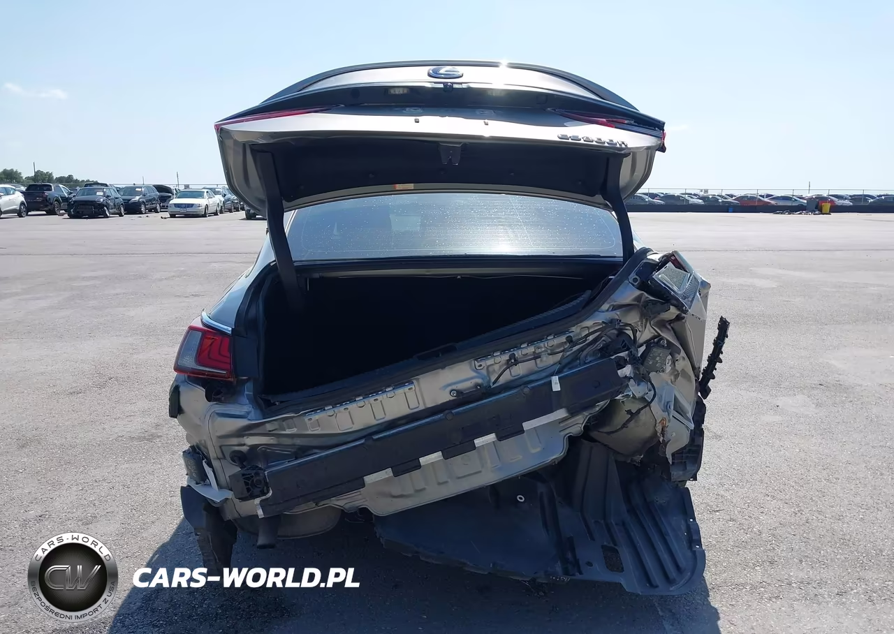 2021 Lexus Es 300H VIN:58ADA1C15MU010082 - 17