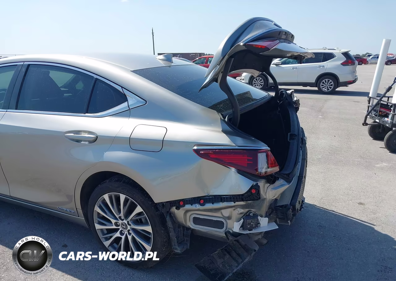 2021 Lexus Es 300H VIN:58ADA1C15MU010082 - 18
