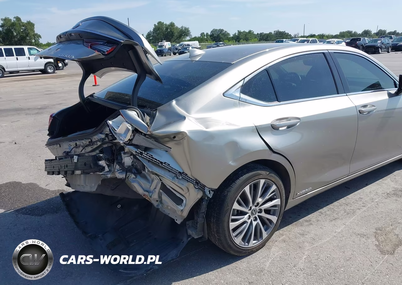 2021 Lexus Es 300H VIN:58ADA1C15MU010082 - 19