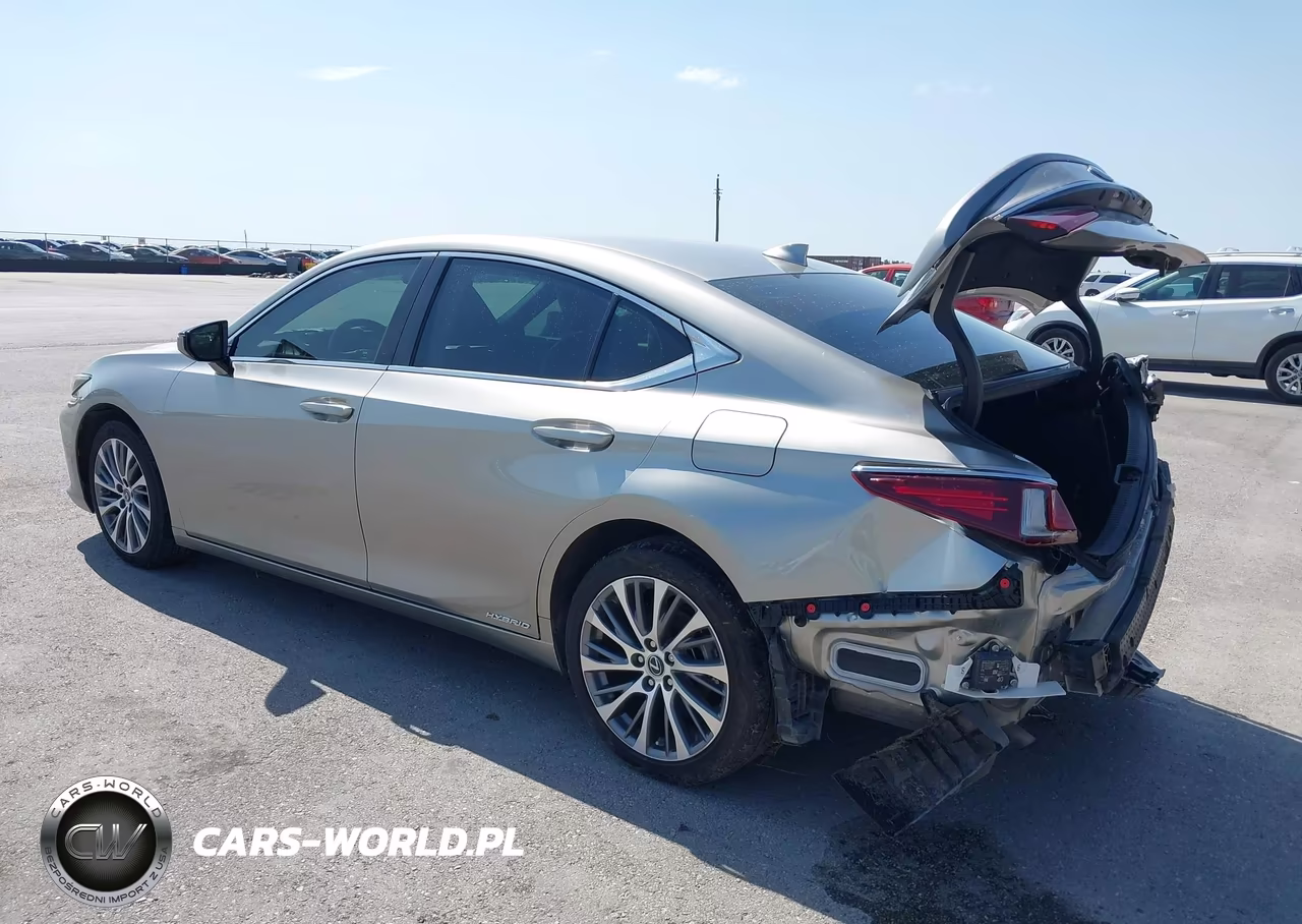 2021 Lexus Es 300H VIN:58ADA1C15MU010082 - 3
