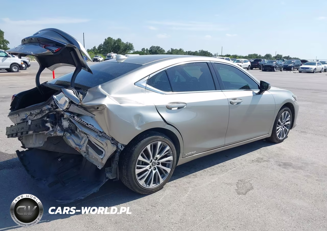 2021 Lexus Es 300H VIN:58ADA1C15MU010082 - 4