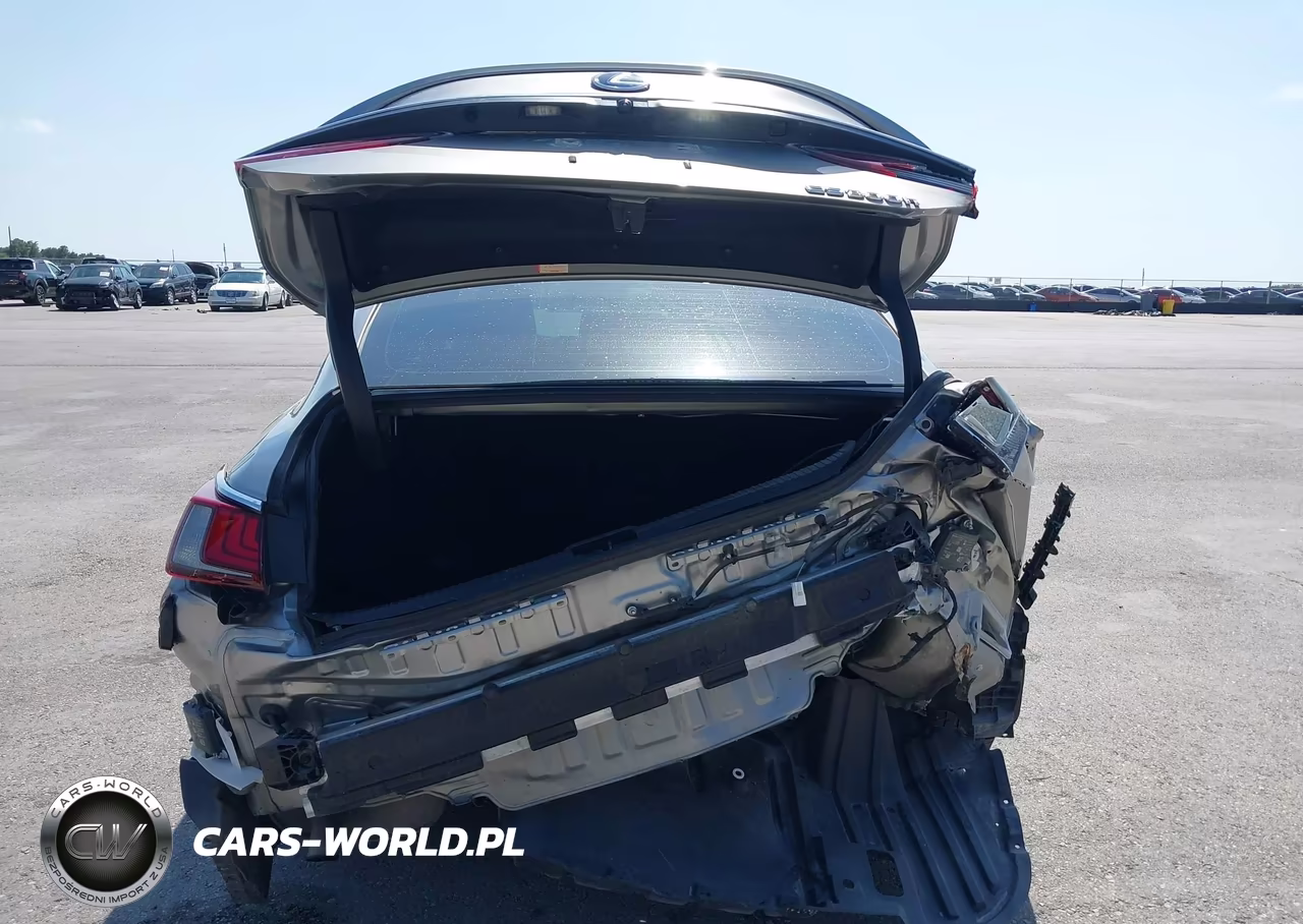 2021 Lexus Es 300H VIN:58ADA1C15MU010082 - 6