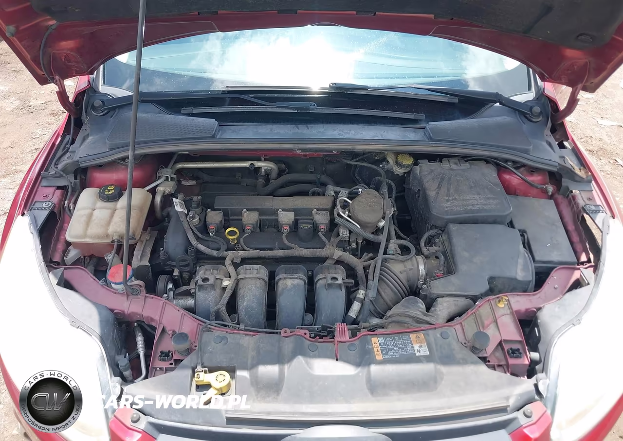 2014 Ford Focus Se VIN:1FADP3K23EL425317 - 10