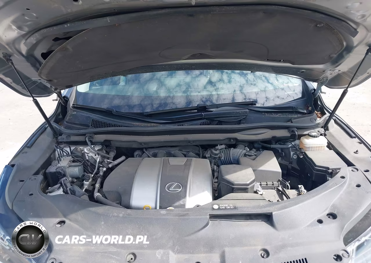 2019 Lexus Rx 350L Premium VIN:JTJDZKCA2K2019127 - 10