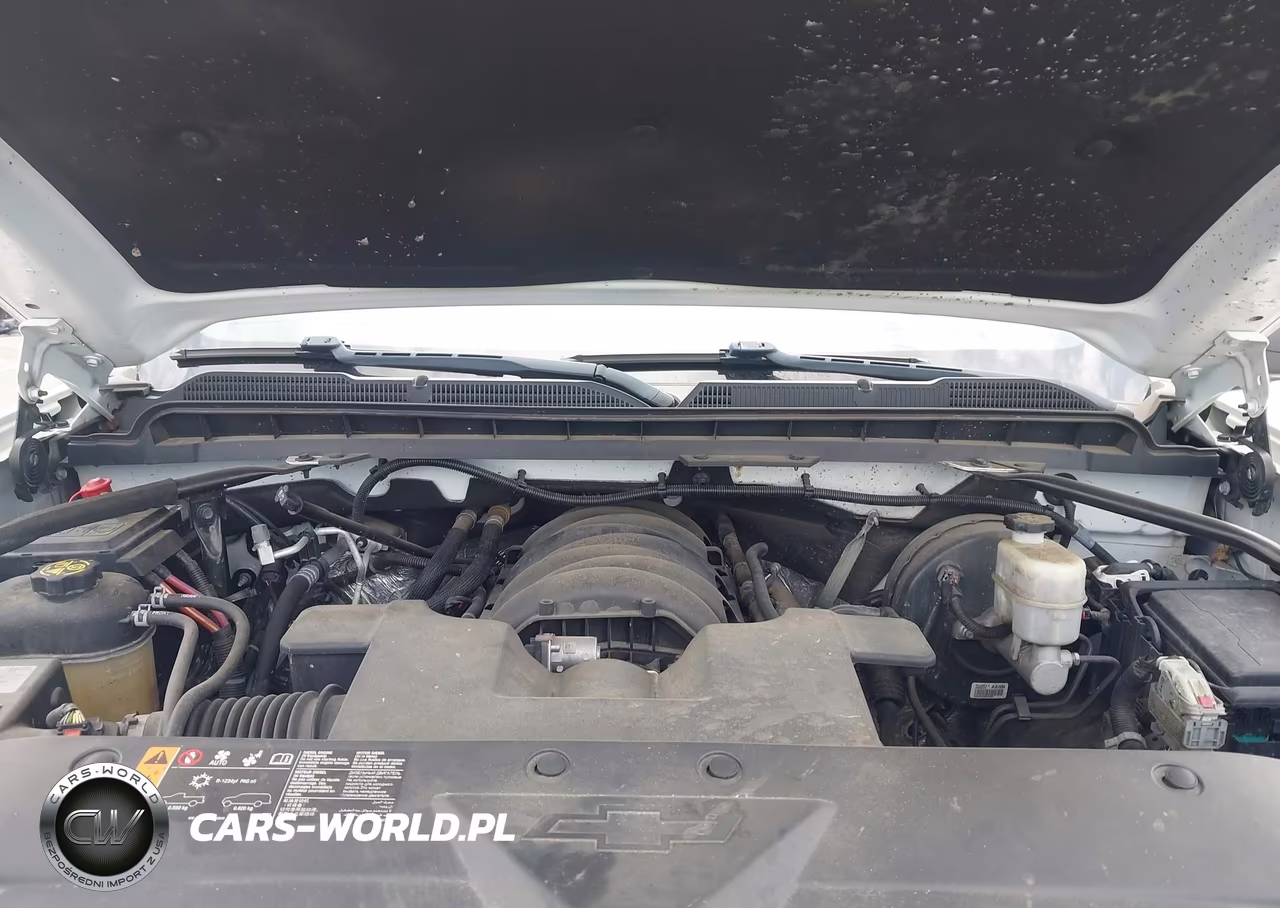2019 Chevrolet Silverado 1500 Ld Wt VIN:2GCVKNEC2K1206265 - 10