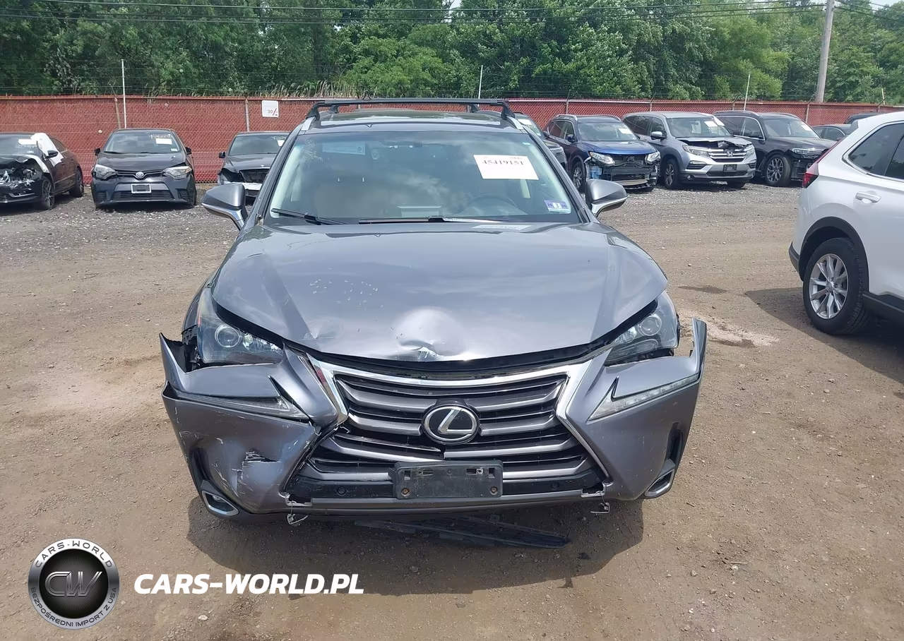 2015 Lexus Nx 200T VIN:JTJBARBZ1F2008141 - 12