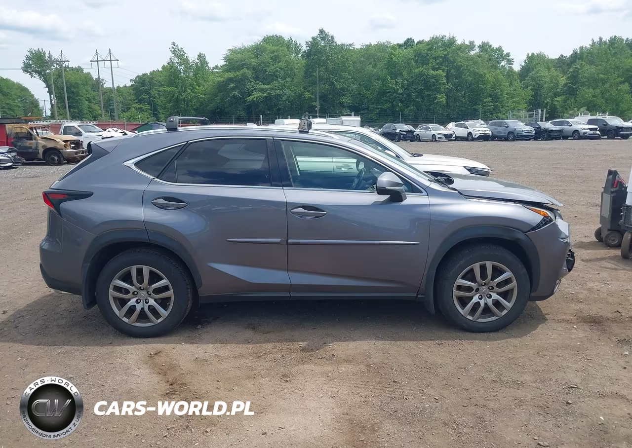 2015 Lexus Nx 200T VIN:JTJBARBZ1F2008141 - 13